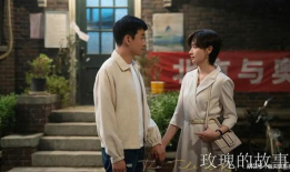 最火的电视剧,揭秘黑帮风云，热血青春的逆袭之路